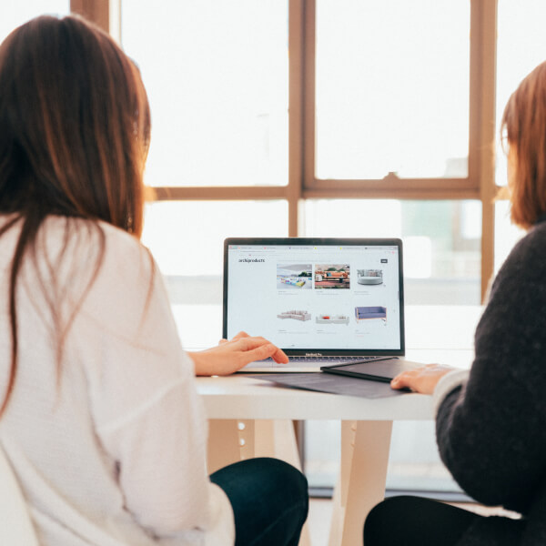 business consultant and client looking at laptop